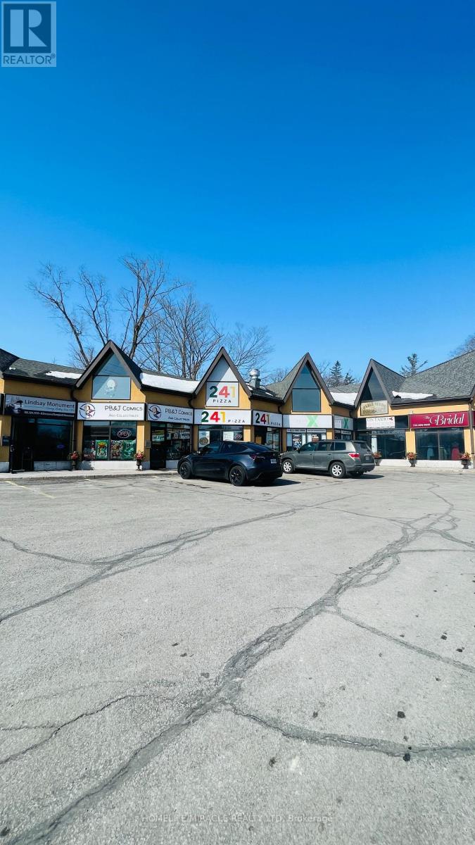 3 - 230-232 KENT STREET W, kawartha lakes (lindsay), Ontario