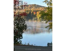 256 TROUT LAKE ROAD, faraday, Ontario