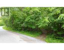 0 NORTHERN AVENUE, trent lakes, Ontario