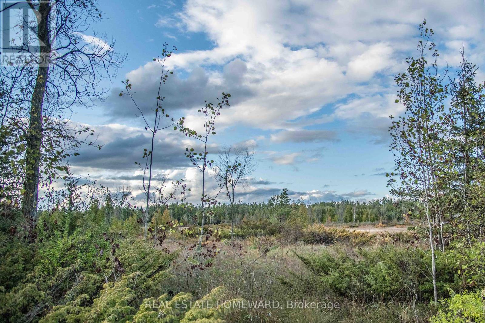 LOT 254 MCGUIRE BEACH ROAD, kawartha lakes (carden), Ontario