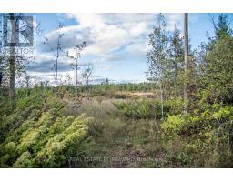 LOT 256 MCGUIRE BEACH ROAD, kawartha lakes (carden), Ontario