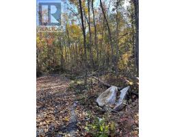 0 47 COUNTY ROAD, havelock-belmont-methuen (belmont-methuen), Ontario