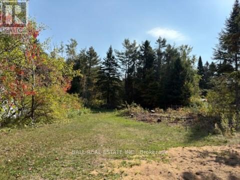0 THE AVENUE, kawartha lakes (kinmount), Ontario