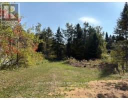 0 THE AVENUE, kawartha lakes (kinmount), Ontario