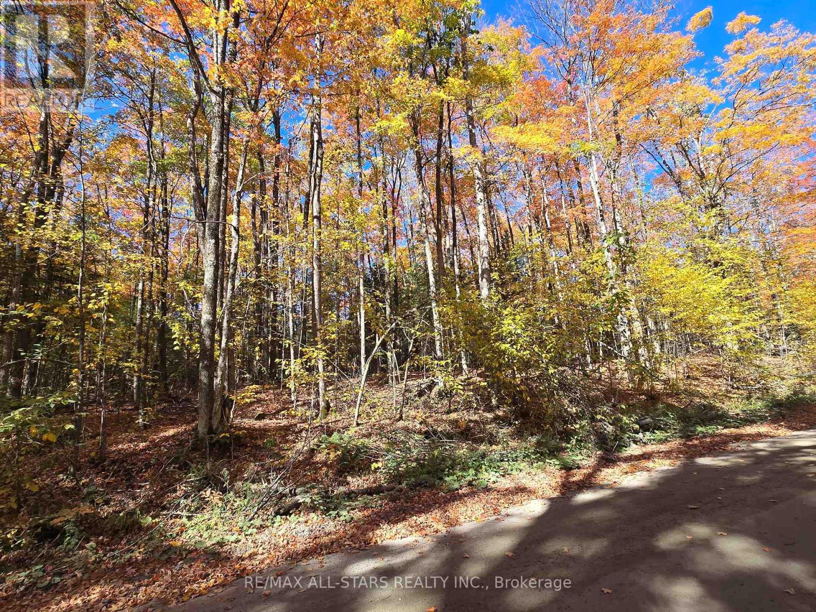 0 SALERNO LAKE ROAD, highlands east (glamorgan), Ontario