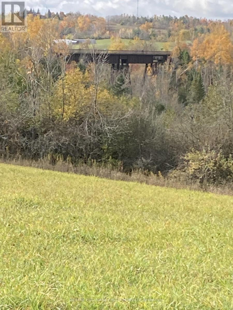 323 ORANGE CORNERS ROAD, kawartha lakes (emily), Ontario