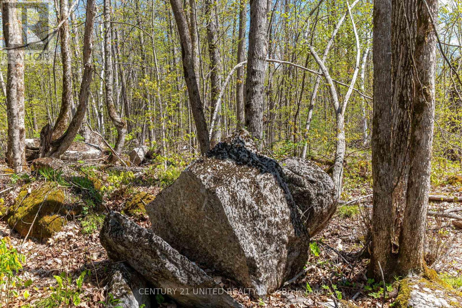 1030 BIRCHVIEW ROAD, douro-dummer, Ontario