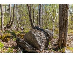 1030 BIRCHVIEW ROAD, douro-dummer, Ontario