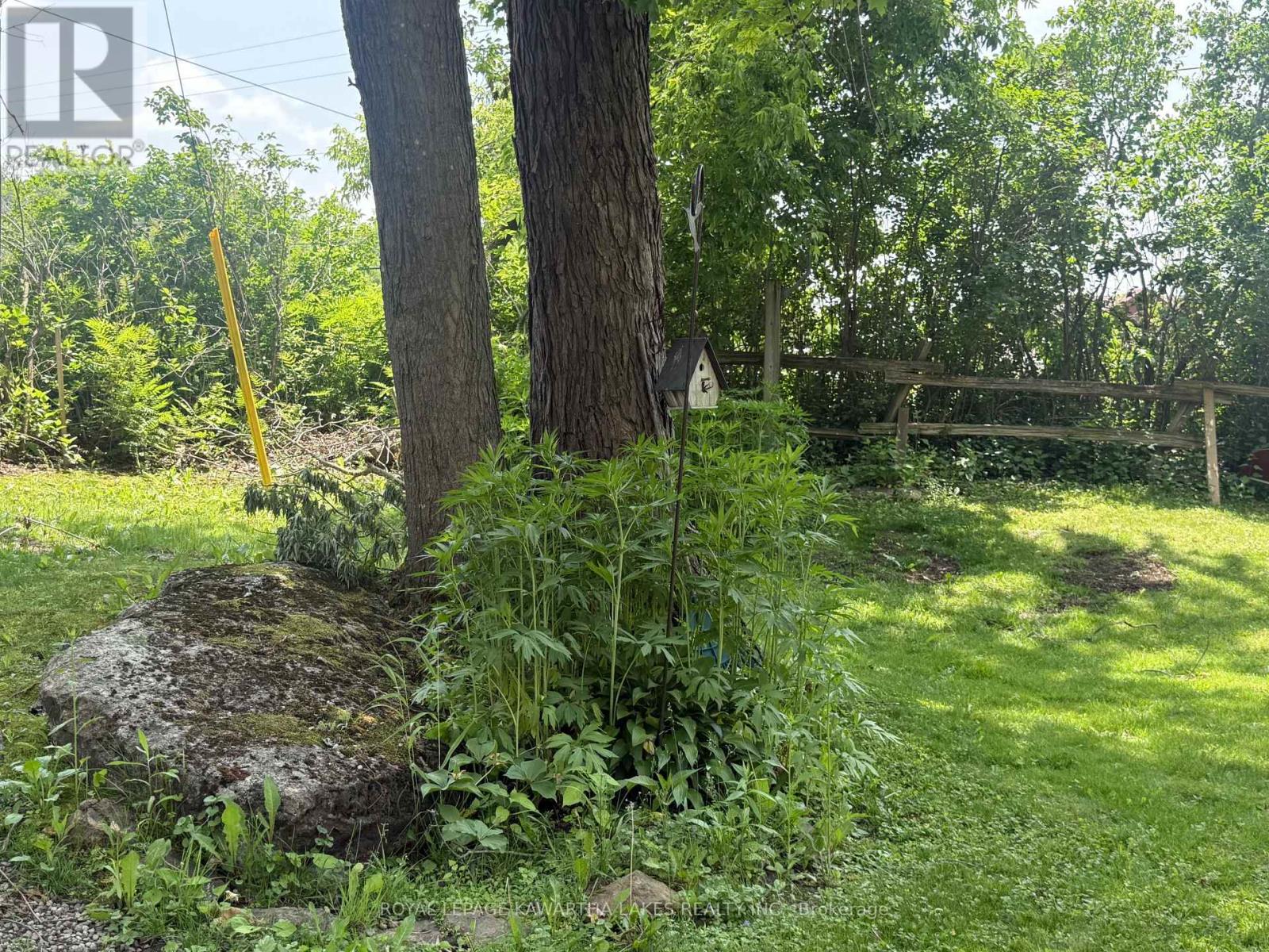 5 GOVERNMENT DOCK ROAD, kawartha lakes (laxton/digby/longford), Ontario