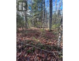 00 MILL LAKE ROAD, north kawartha, Ontario