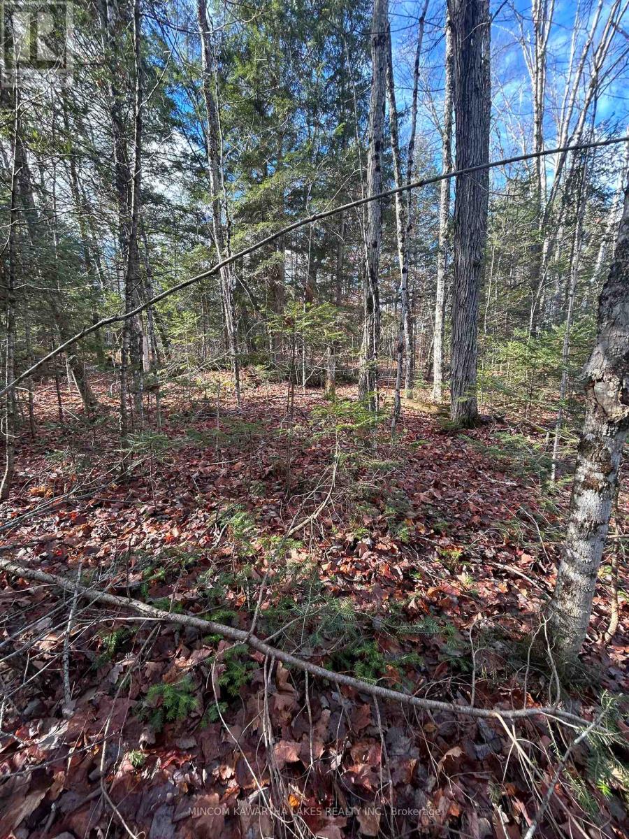 0 MILL LAKE ROAD, north kawartha, Ontario