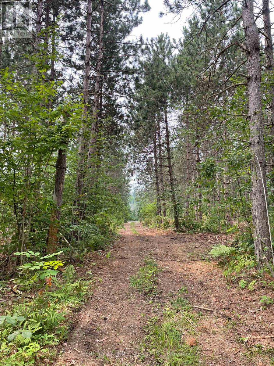 0 GOVERNMENT ROAD, whitewater region, Ontario