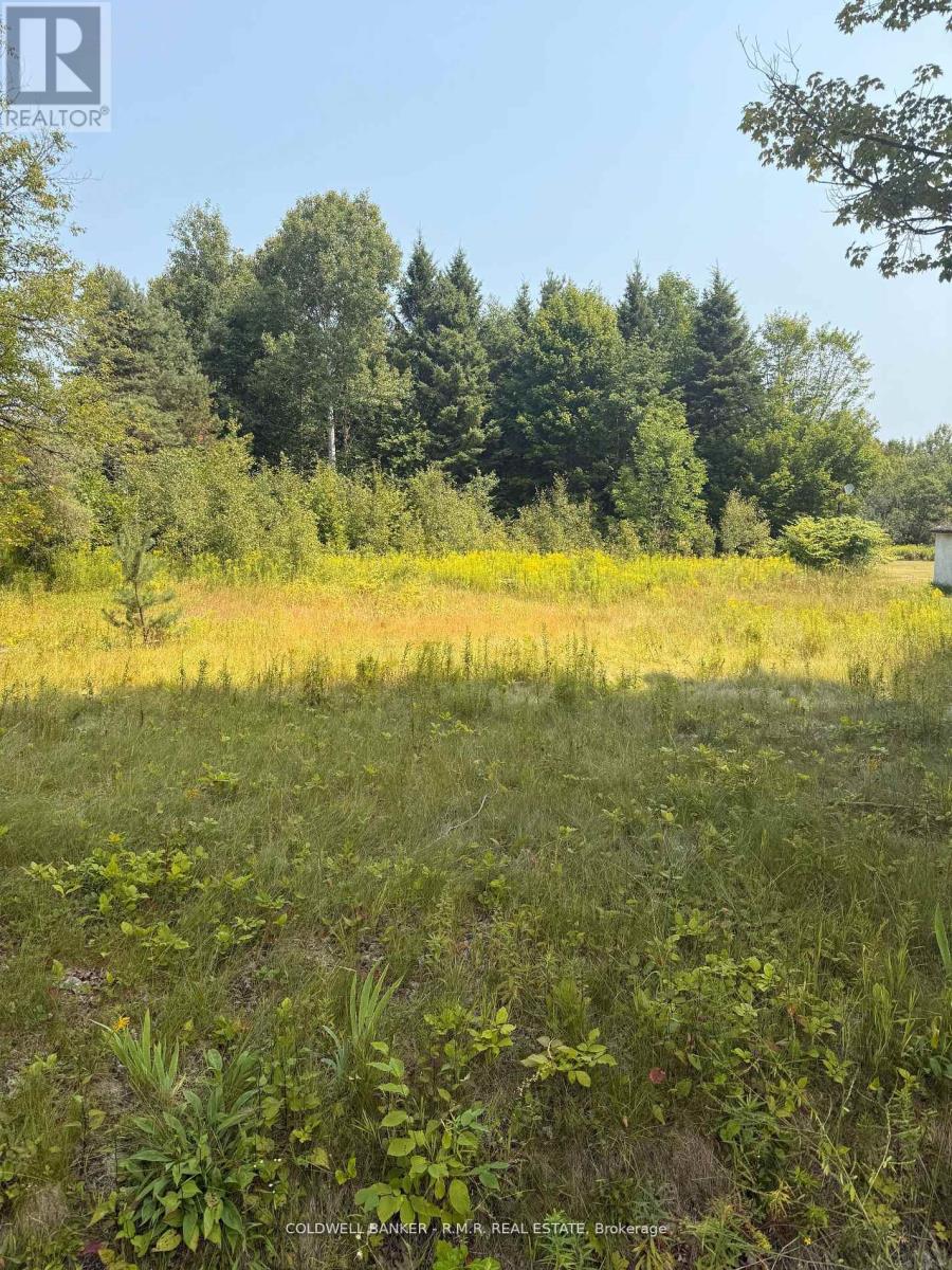 3995 BOULTER ROAD, hastings highlands (wicklow ward), Ontario