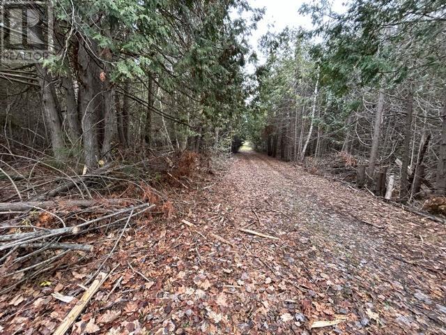 PTLT 29 CONCESSION 8, kawartha lakes (verulam), Ontario