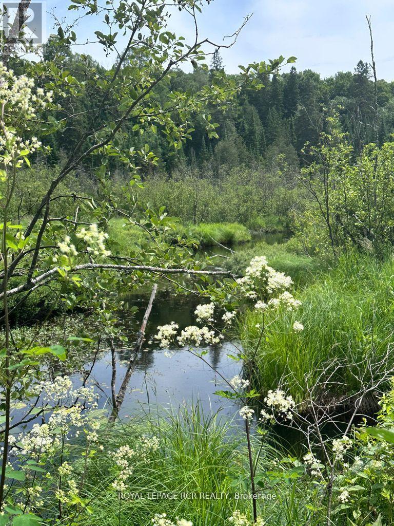 0 PT LT 6 CON 9, highlands east (monmouth), Ontario