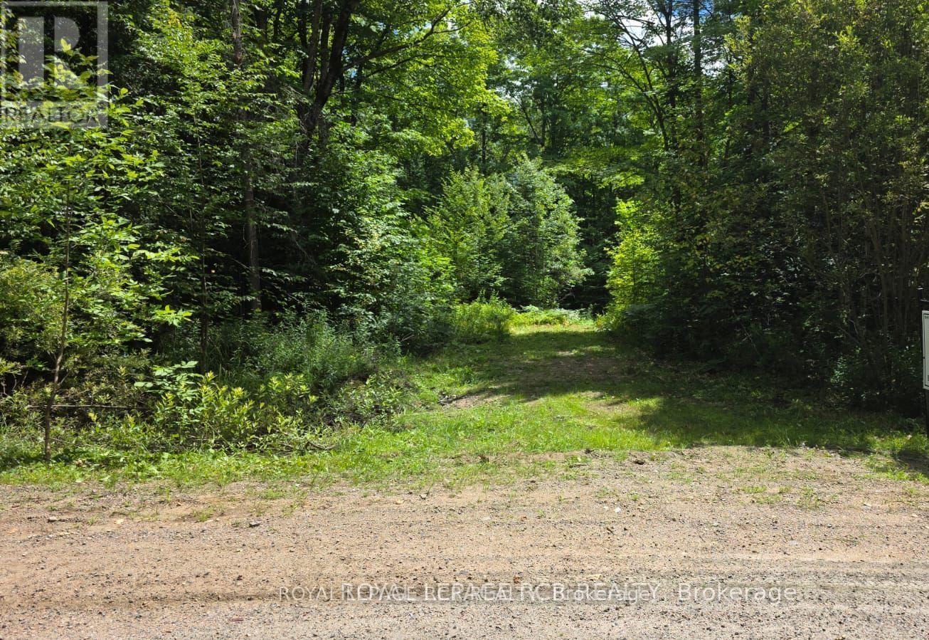 PT LOT 6 CON 10 MONMOUTH MADILL ROAD, highlands east (monmouth), Ontario