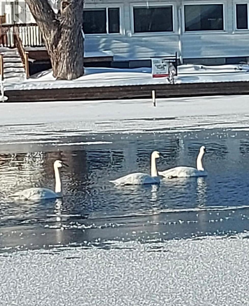 15 NORTH WATER STREET, kawartha lakes (bexley), Ontario