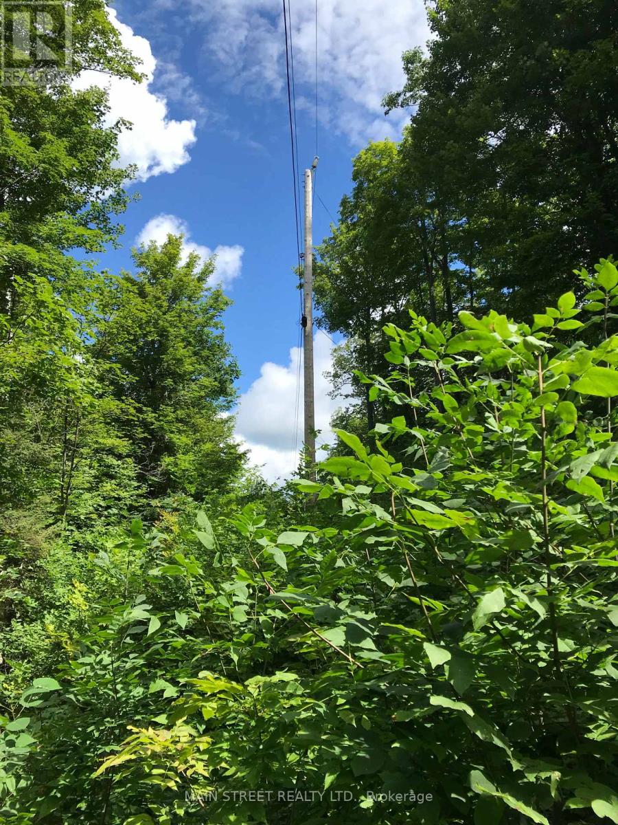 000 BLANCHARDS ROAD, kawartha lakes (bexley), Ontario