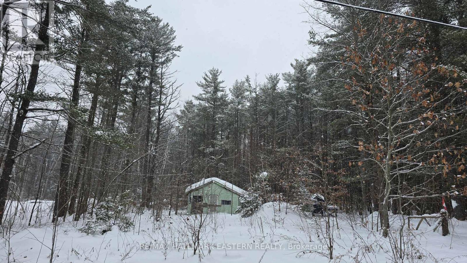 120 COLE ROAD, havelock-belmont-methuen (belmont-methuen), Ontario