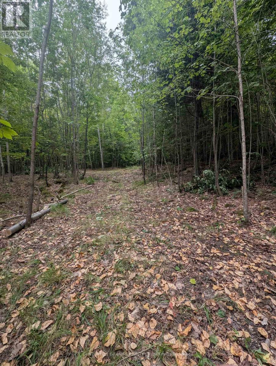 00 KAMANISKEG LAKE ROAD, hastings highlands (bangor ward), Ontario