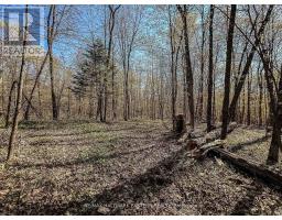 2494 HADLINGTON ROAD, highlands east (monmouth), Ontario