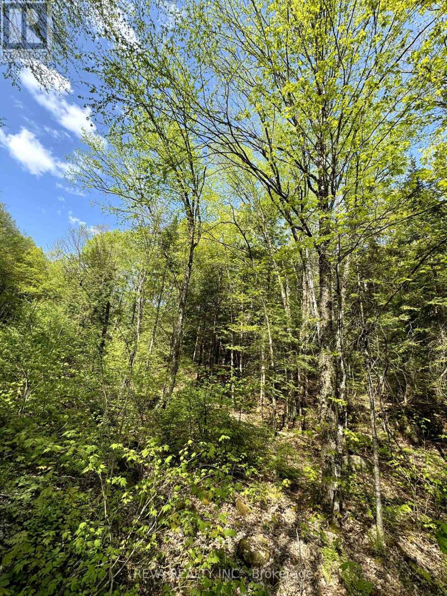 0 SALMON TROUT LAKE ROAD, hastings highlands (monteagle ward), Ontario