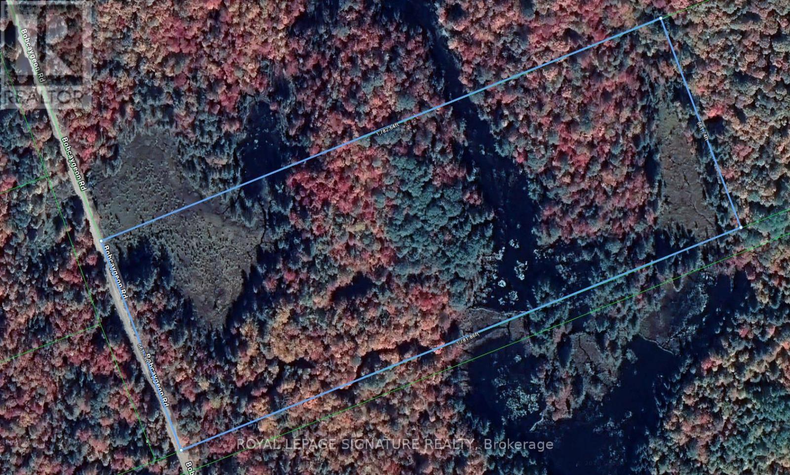 0 BOBCAYGEON ROAD, minden hills (lutterworth), Ontario