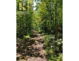 0EAST1 ROAD ALLOWANCE ROAD, havelock-belmont-methuen (belmont-methuen), Ontario