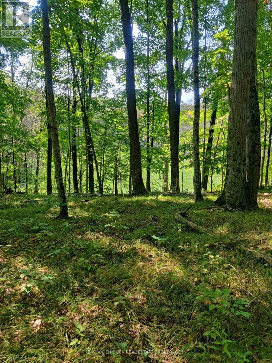 0EAST2 ROAD ALLOWANCE ROAD, havelock-belmont-methuen (belmont-methuen), Ontario