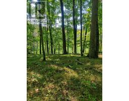 0EAST2 ROAD ALLOWANCE ROAD, havelock-belmont-methuen (belmont-methuen), Ontario