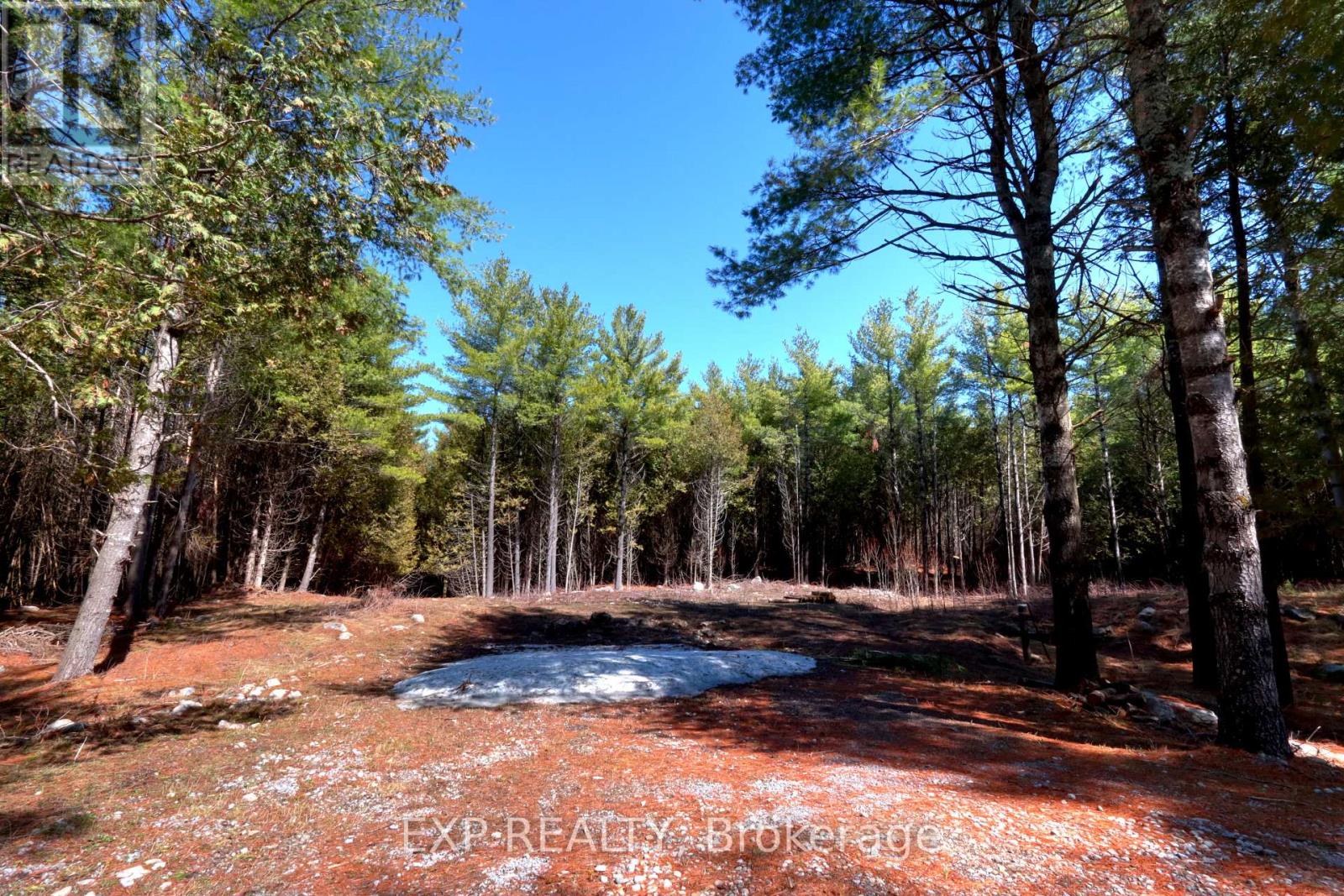 593 COUNTY 40 ROAD, douro-dummer, Ontario