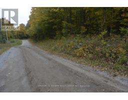 PTLT 61 OLD HASTINGS ROAD, wollaston, Ontario