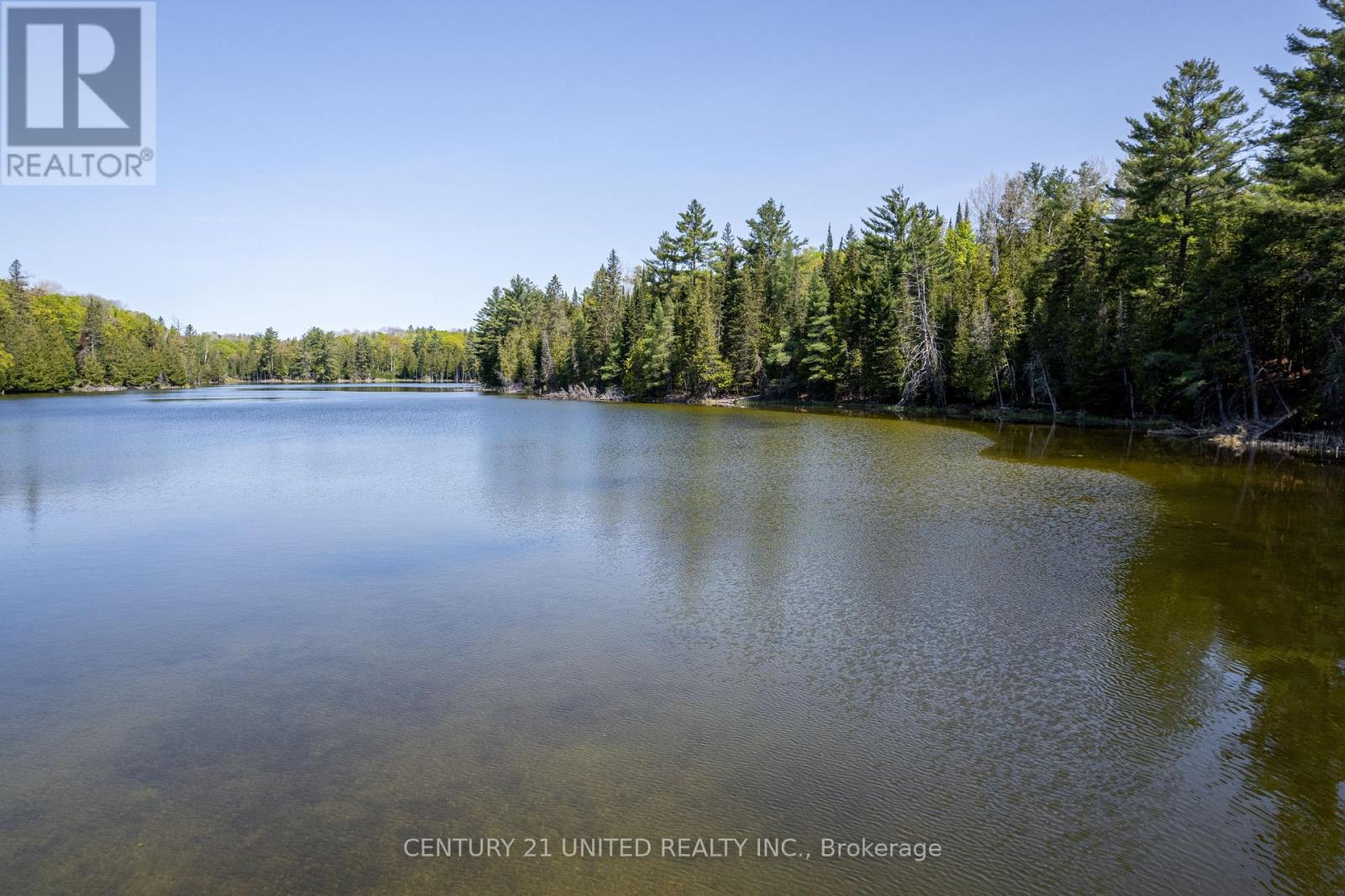 0 JOHNSON ROAD, north kawartha, Ontario