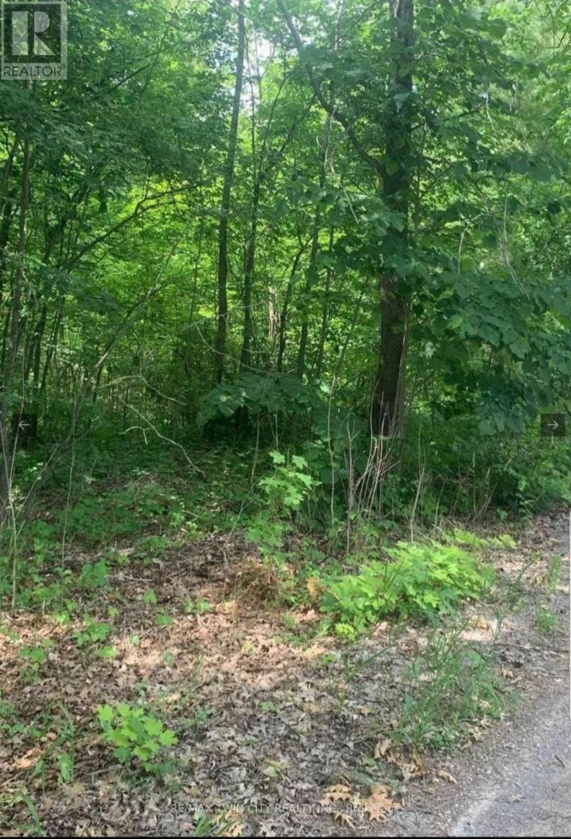 LOT 12 SUTER DRIVE, kawartha lakes (laxton/digby/longford), Ontario