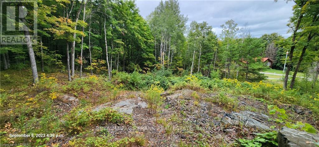 169 NORTHERN AVENUE, trent lakes, Ontario