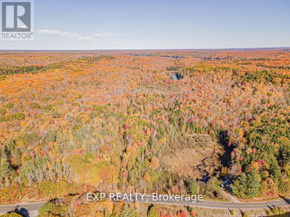 3349 DEEP BAY ROAD, minden hills (lutterworth), Ontario