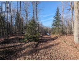 11146 HIGHWAY 118, algonquin highlands (stanhope), Ontario