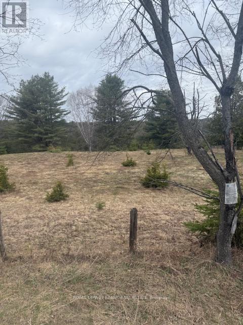 LOT 2 DETLOR ROAD, bancroft (dungannon ward), Ontario