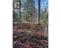 0 MILL LAKE ROAD, north kawartha, Ontario