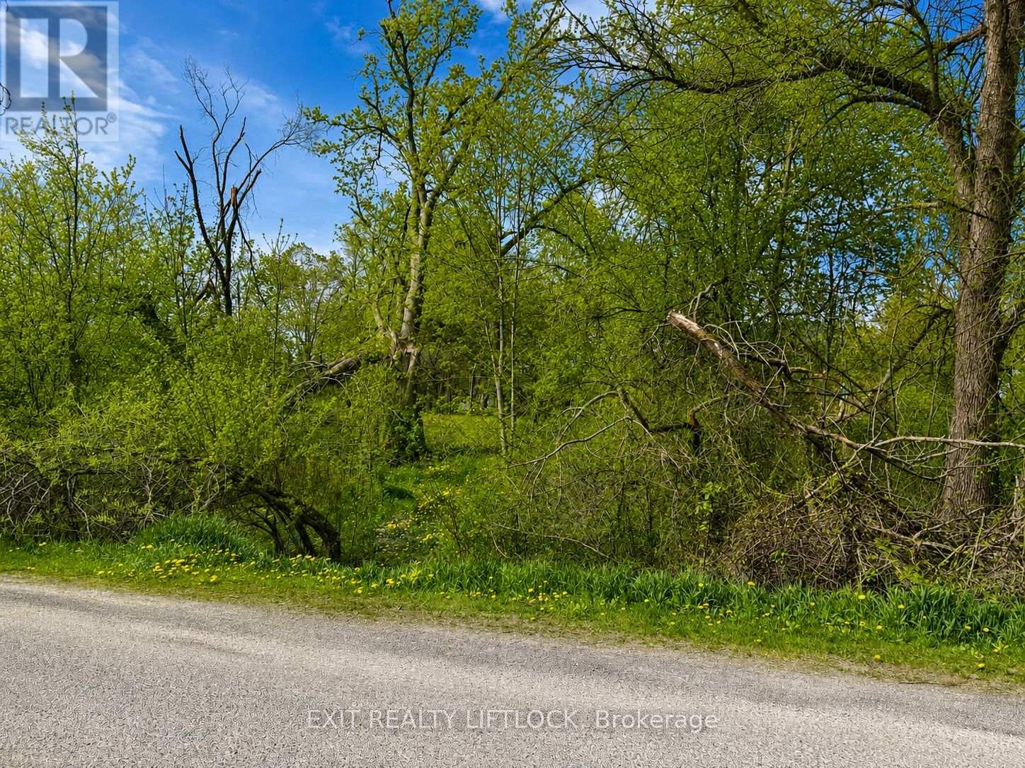 0 MAPLE RIDGE DRIVE, kawartha lakes (emily), Ontario