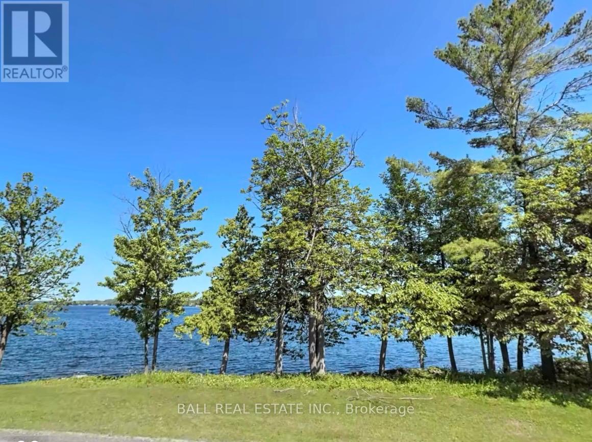 0 COUNTY ROAD, kawartha lakes (verulam), Ontario