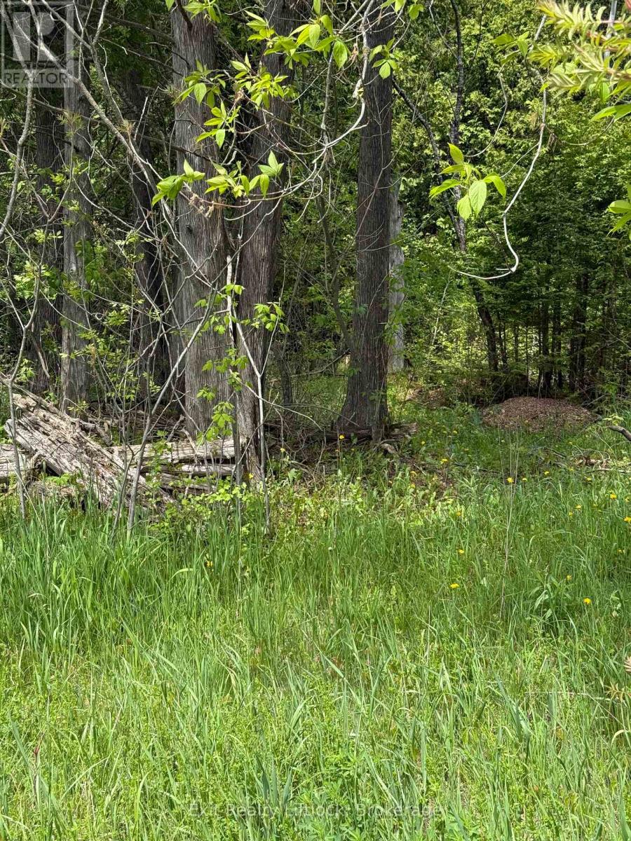 00 CONCESSION RD 11 E., trent hills, Ontario