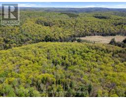 PT LT 26 CON 17 CARDIFF HWY #648 (LOOP) ROAD, highlands east (cardiff ward), Ontario