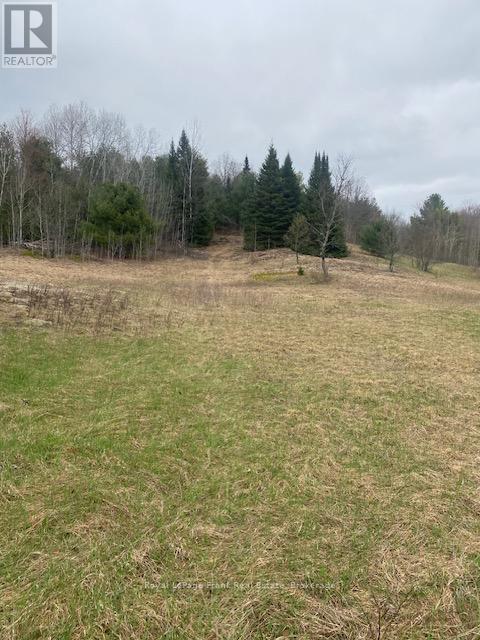 00 LANDON ROAD, bancroft (dungannon ward), Ontario
