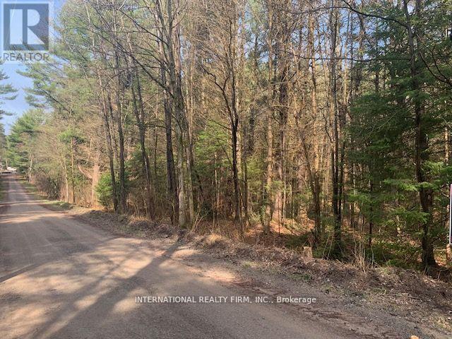 0 THE AVE ROAD N, kawartha lakes (kinmount), Ontario