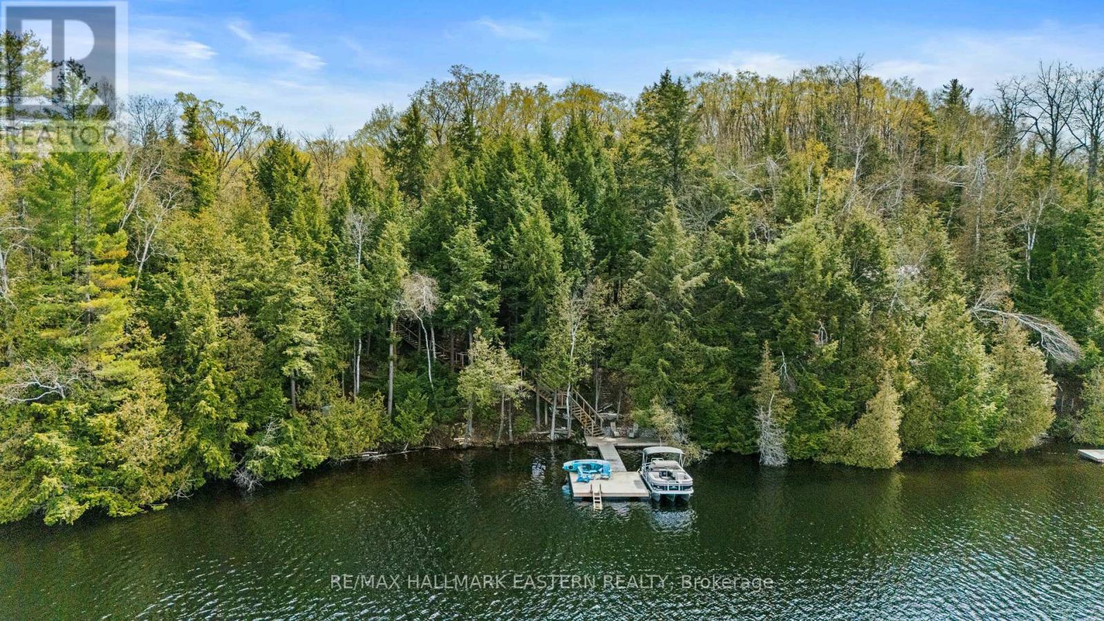 50 FIRE ROUTE 328A, trent lakes, Ontario