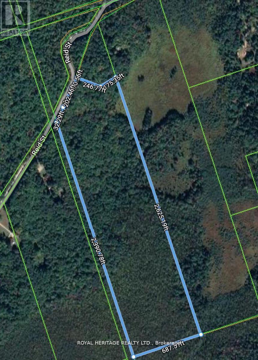 506 REID STREET, trent lakes, Ontario