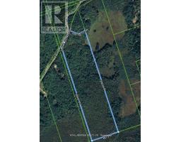 506 REID STREET, trent lakes, Ontario