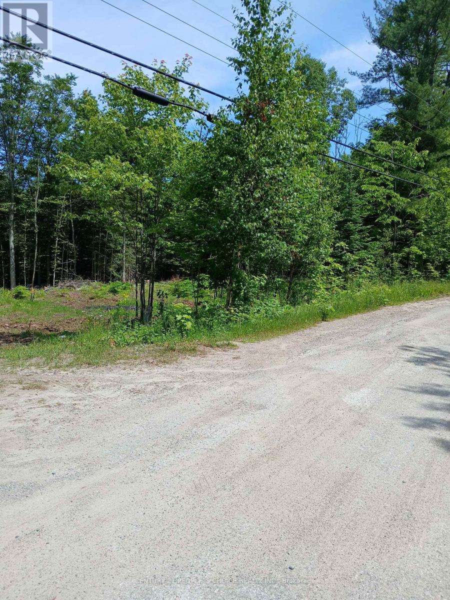 1005 PORKYS ROAD, minden hills (snowdon), Ontario