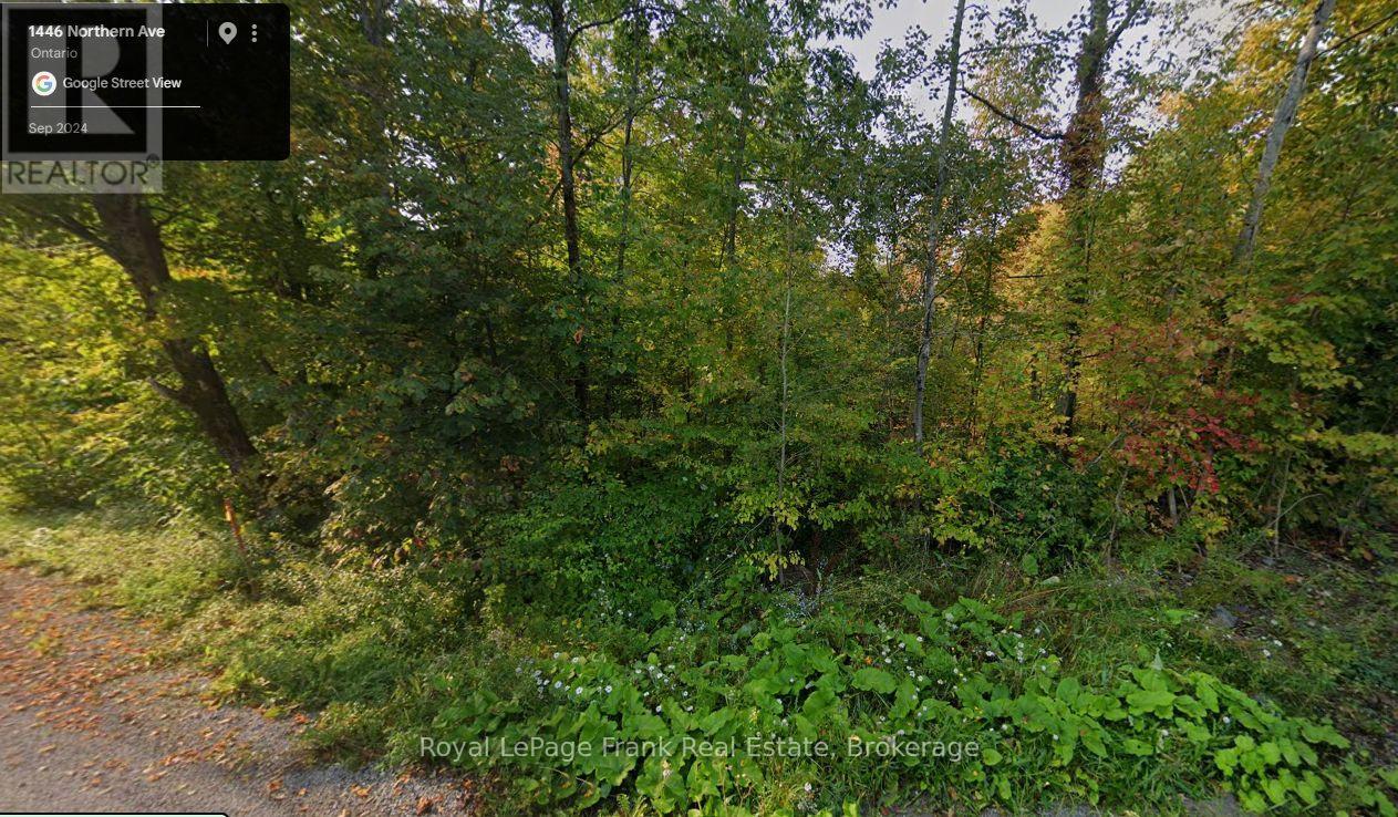 0 NORTHERN AVENUE, trent lakes, Ontario